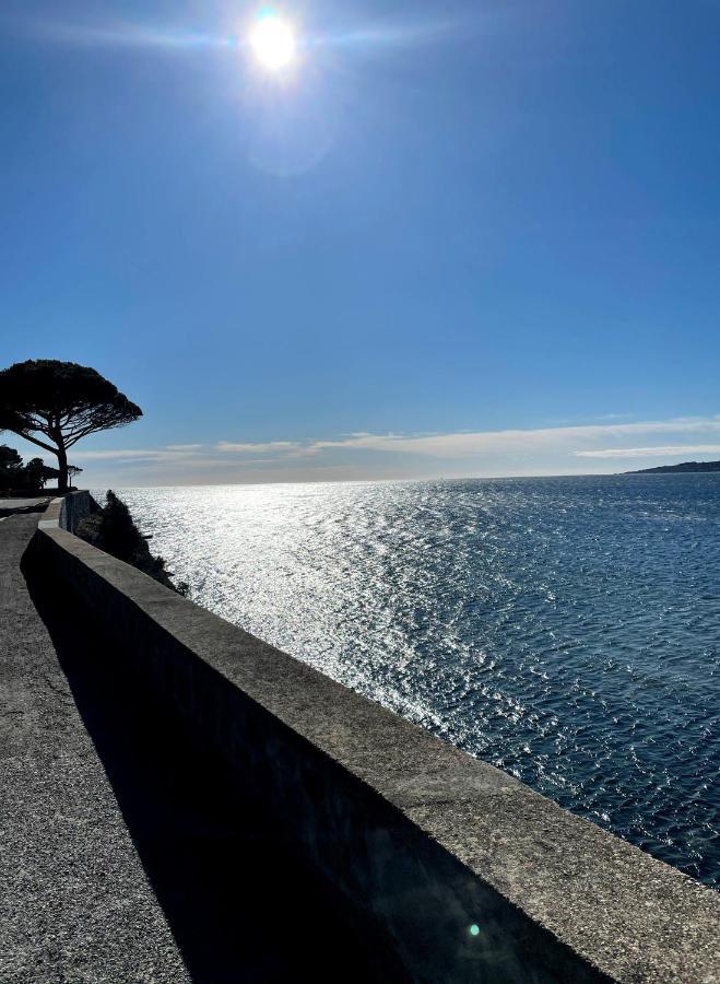 Appartement Sainte-Maxime, Plage De La Nartelle Eksteriør billede